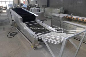 Onion Brush Dry Cleaning Machine with Selecting Conveyor for Oman Customer