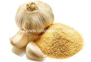 garlic-clove-and-powder