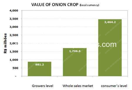 onion-value-in-brasil