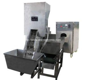 Automatic Onion Peeling and Root Cutting Machine for South Africa Customer