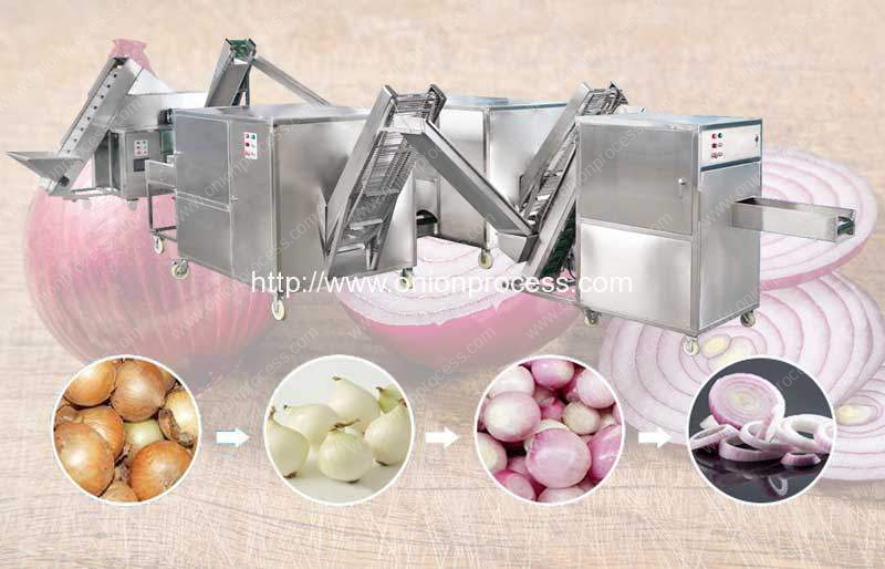 Source Hot Sale Semi Automatic Onion Root Cutting Machine Onion Peeler Onion  Root Cutter Machine on m.