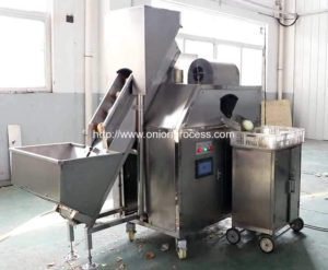 RM-OP1 PLC Control Onion Peeling Machine for Hungary Customer