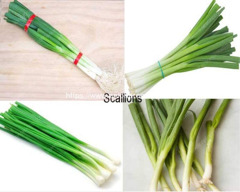 What are Difference of Scallions and Spring Onions | Onion Peeling ...