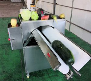 Slice Onion Cutting Machine, For Hotel, Capacity: 50 kg/Hour