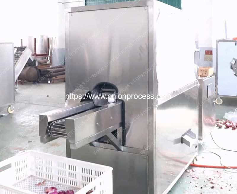 Single Belt Onion Root Concave Cutting and Peeling Machine